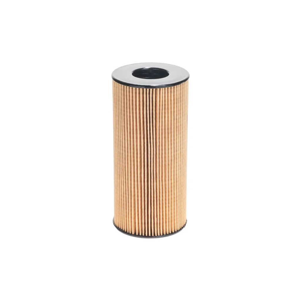 Filtru de combustibil 1000123922