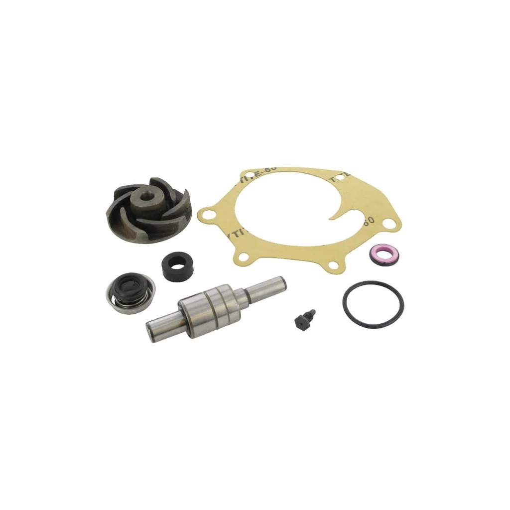 Kit reparație pompă de apă potrivit pentru David Brown K965848N
