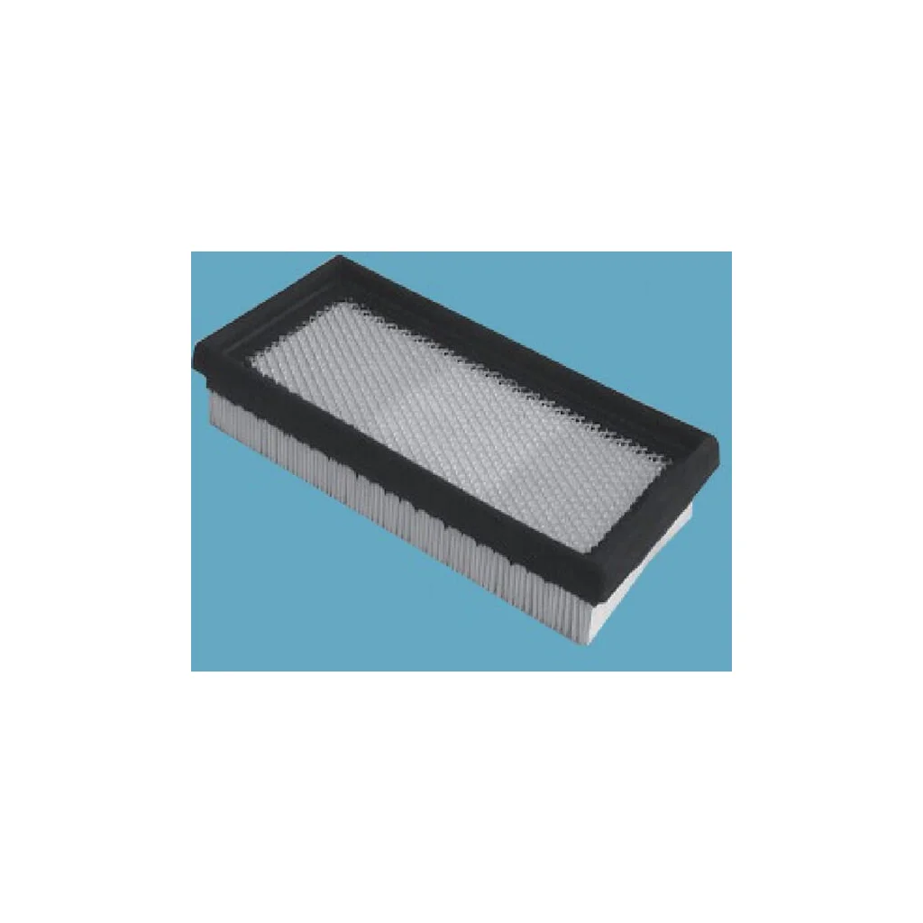 Filtru cabină KPG1117