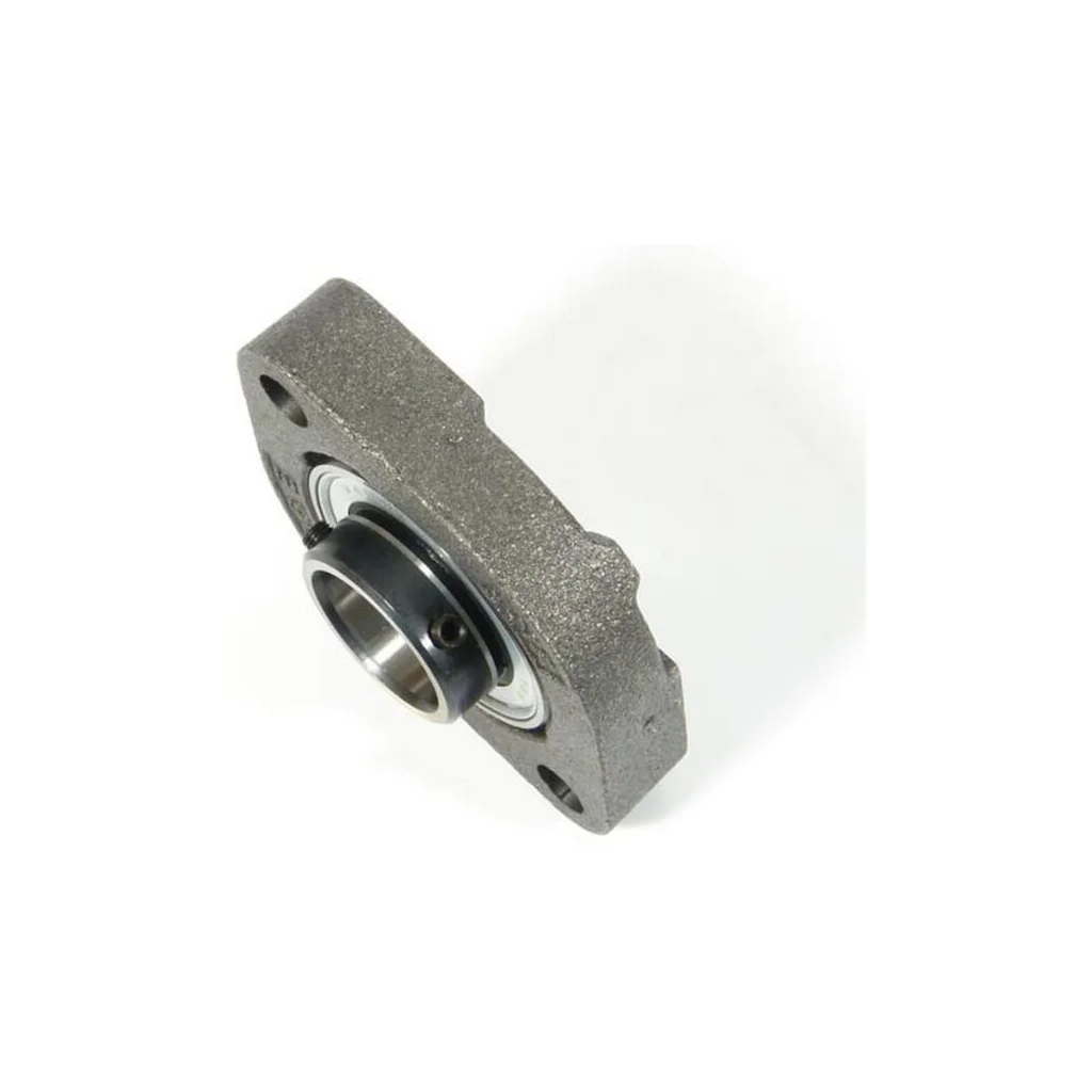 Rulment 10161006N