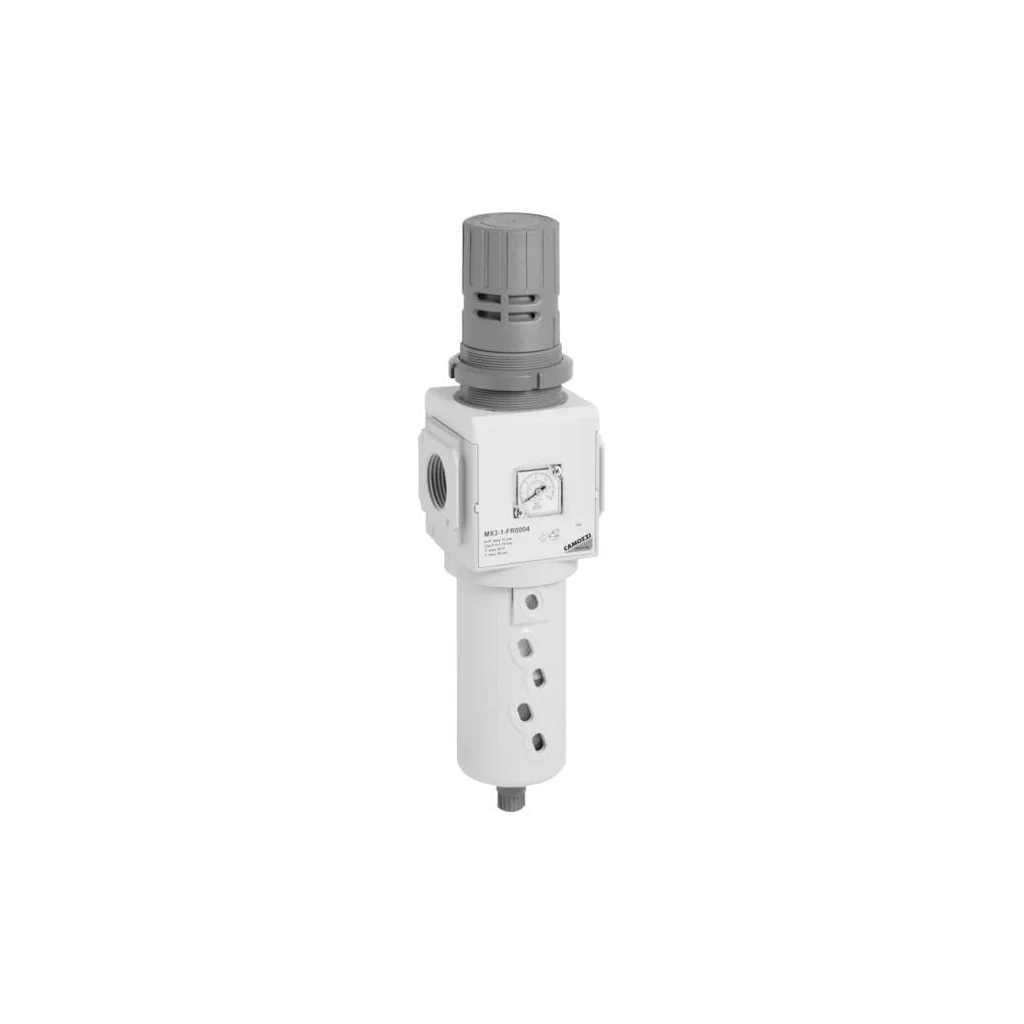 Regulator de filtru MX31FR1004