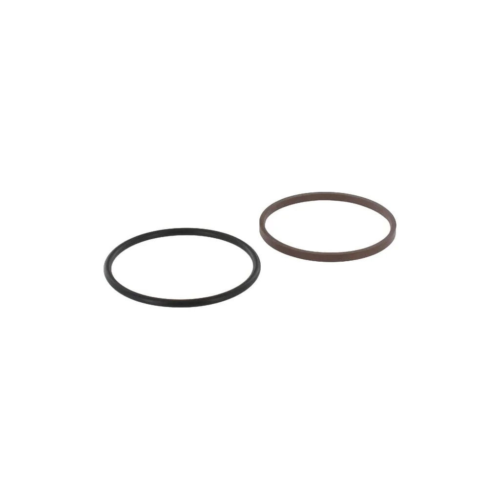 Garnitură tijă 60x70,7x4,20mm 10IGRL0600B554470