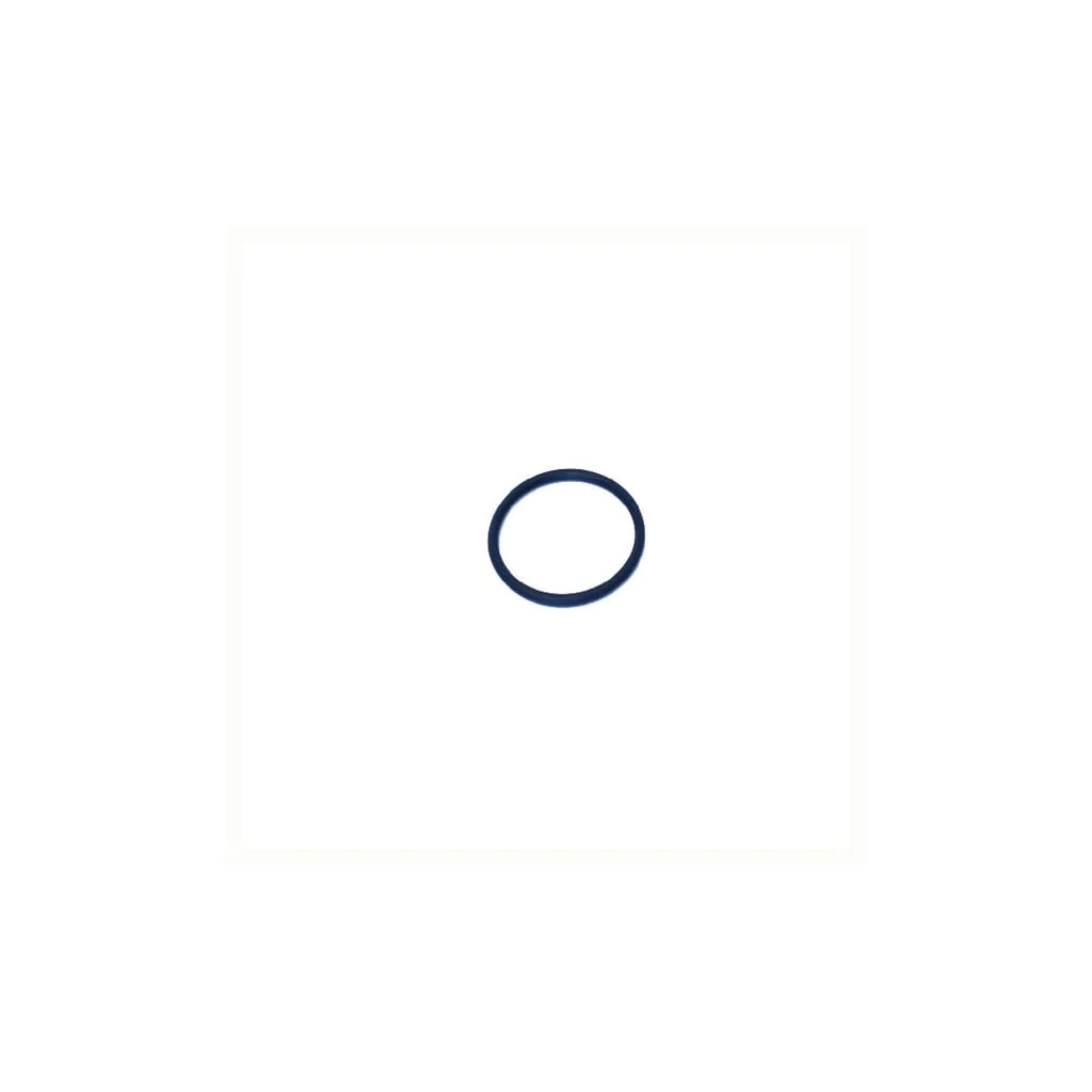 O-ring NWS00201