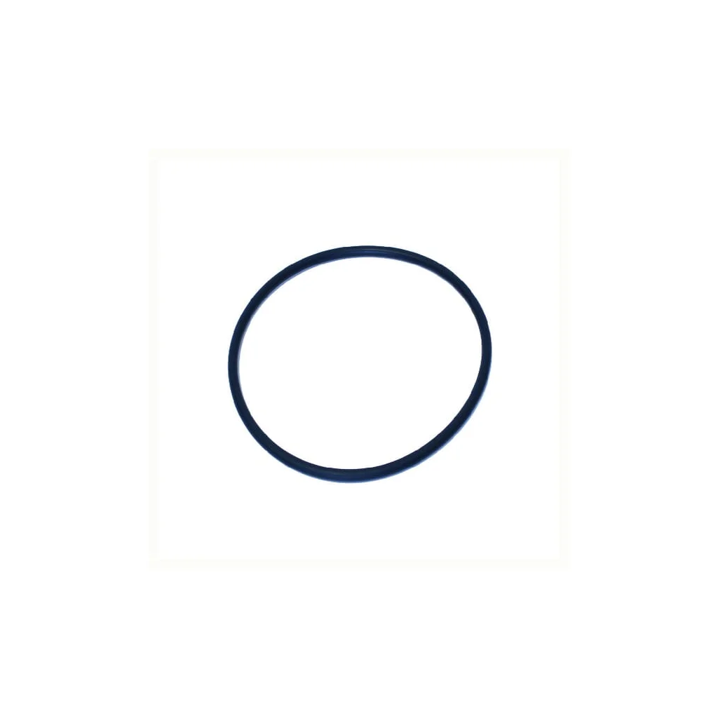 O-ring NWS00131