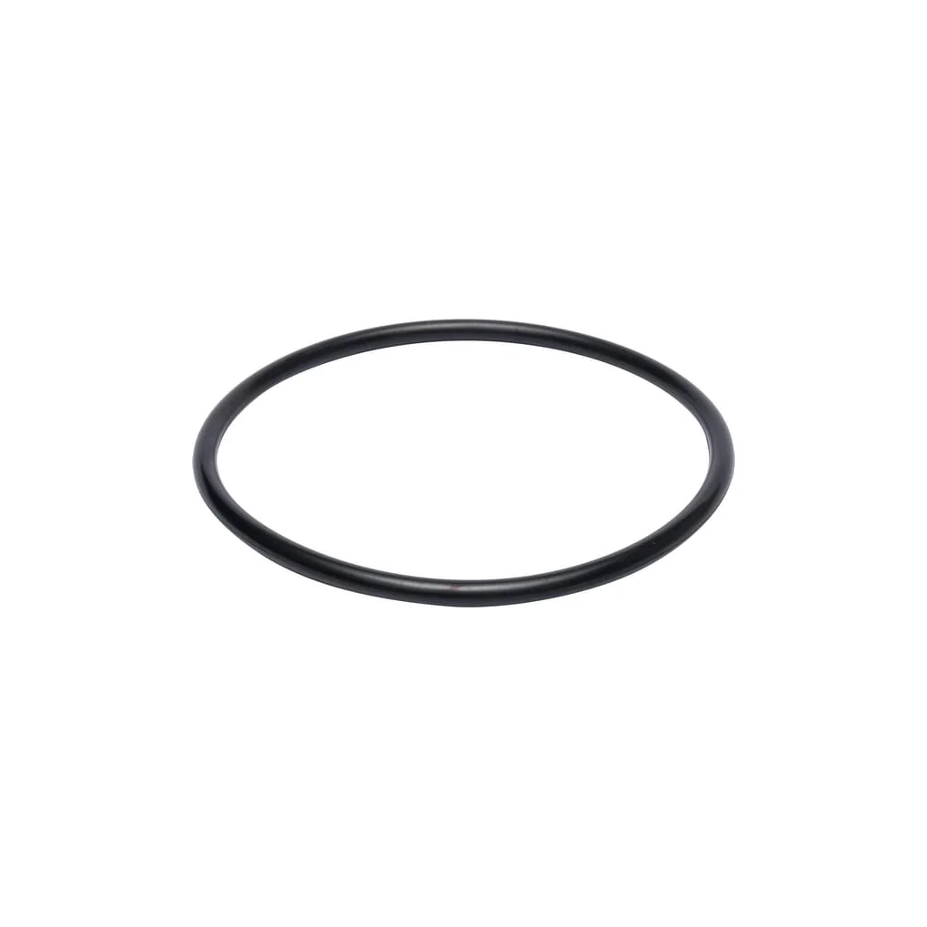 O-ring 160x8mm 70 shore OR1608P001