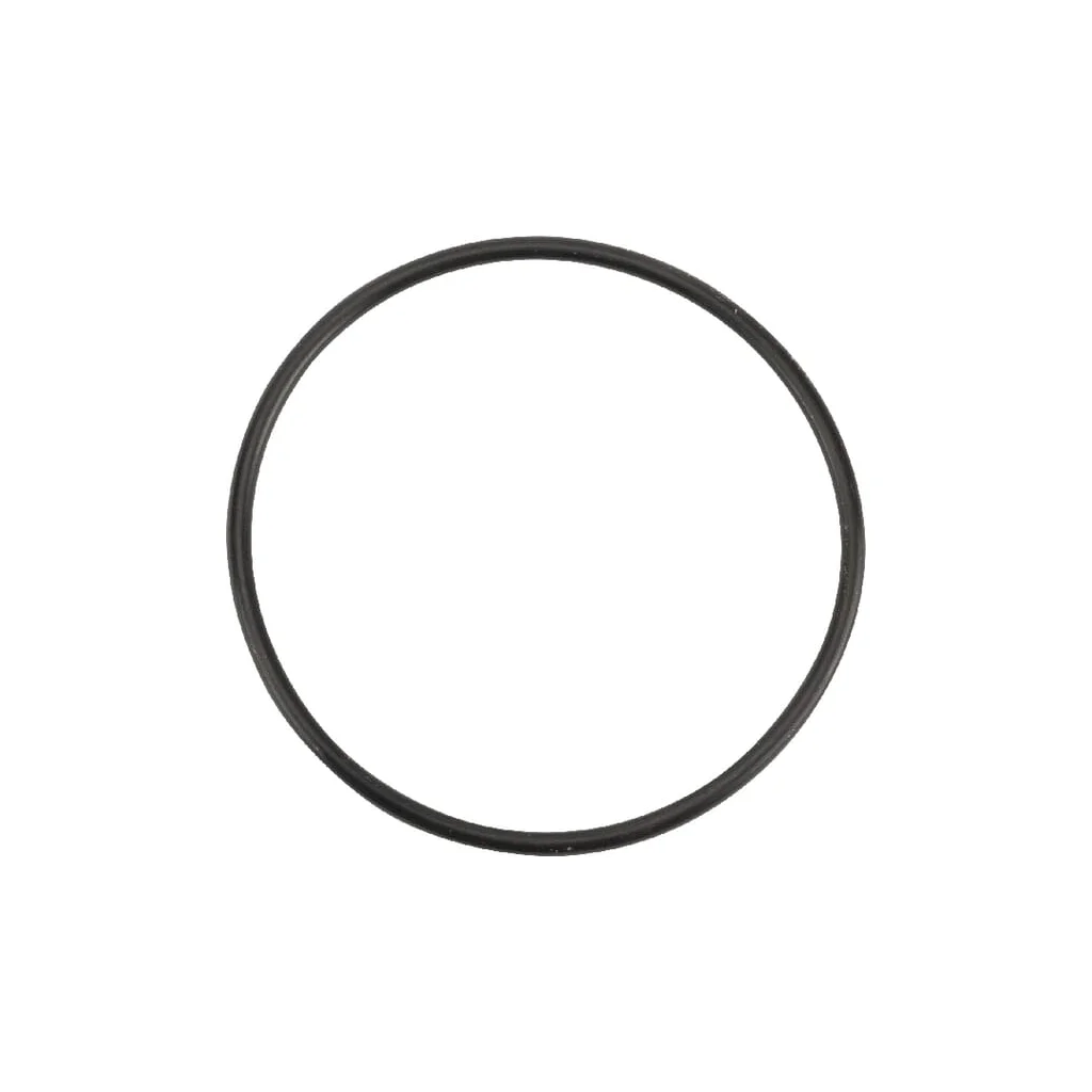 O-ring 59,99x2,62mm 90 shore OR599926290P001