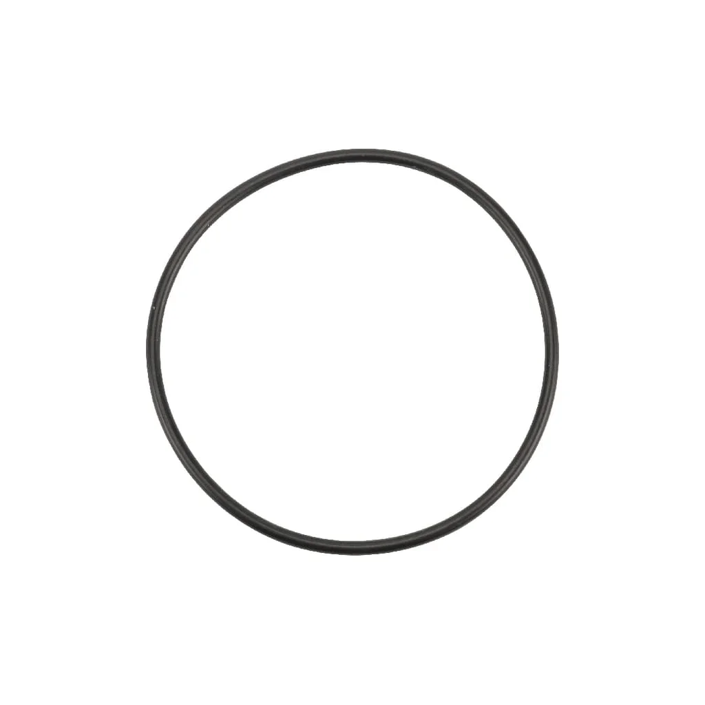 O-ring 67,95x2,62mm 90 shore OR679526290P001