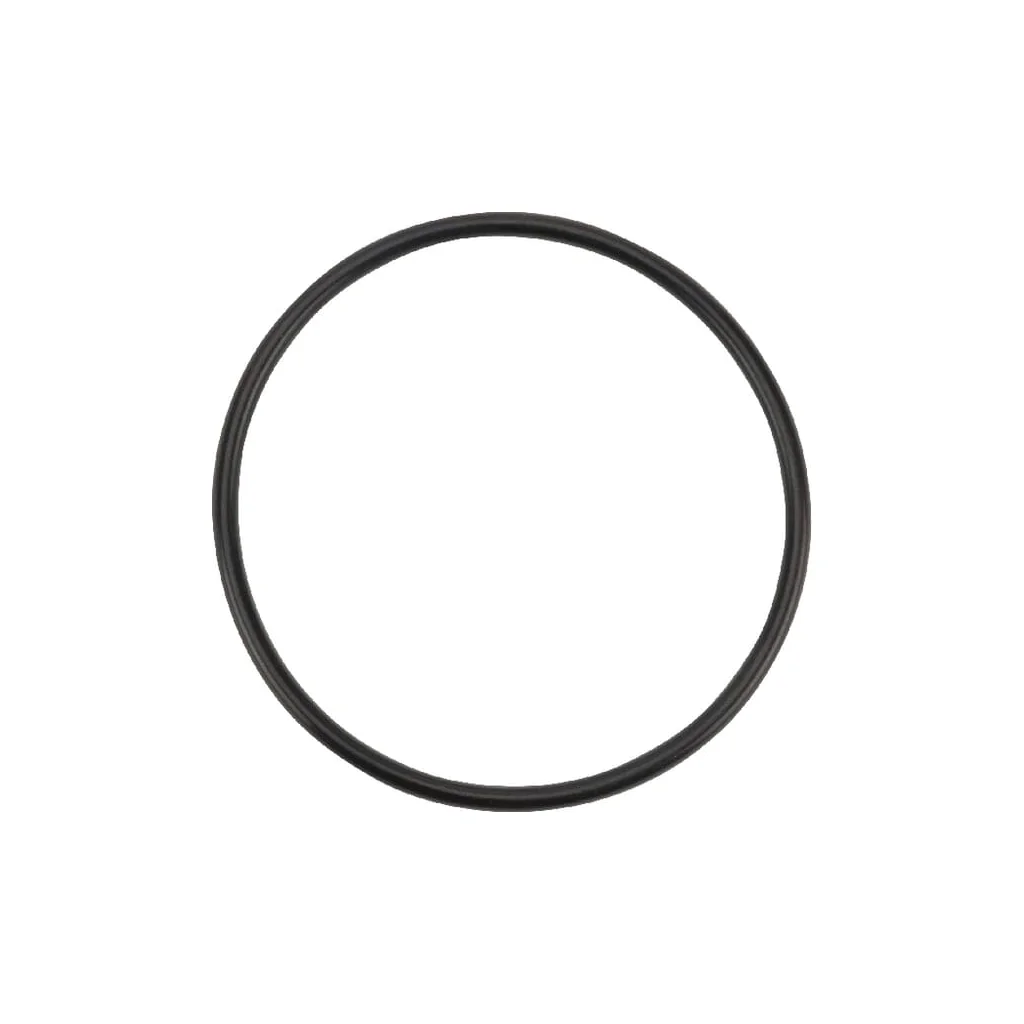 O-ring 55,25x2,62mm 90 shore OR552526290P001