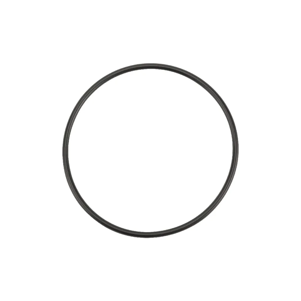O-ring 69,52x2,62mm 90 shore OR695226290P001