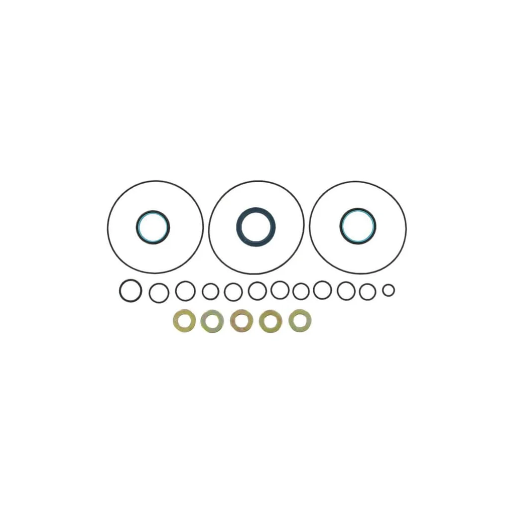 Set de garnituri OSPM, 150L4054 OSPM9AFD