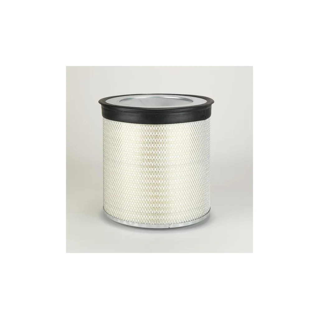 Filtru aer principal rotund P124370