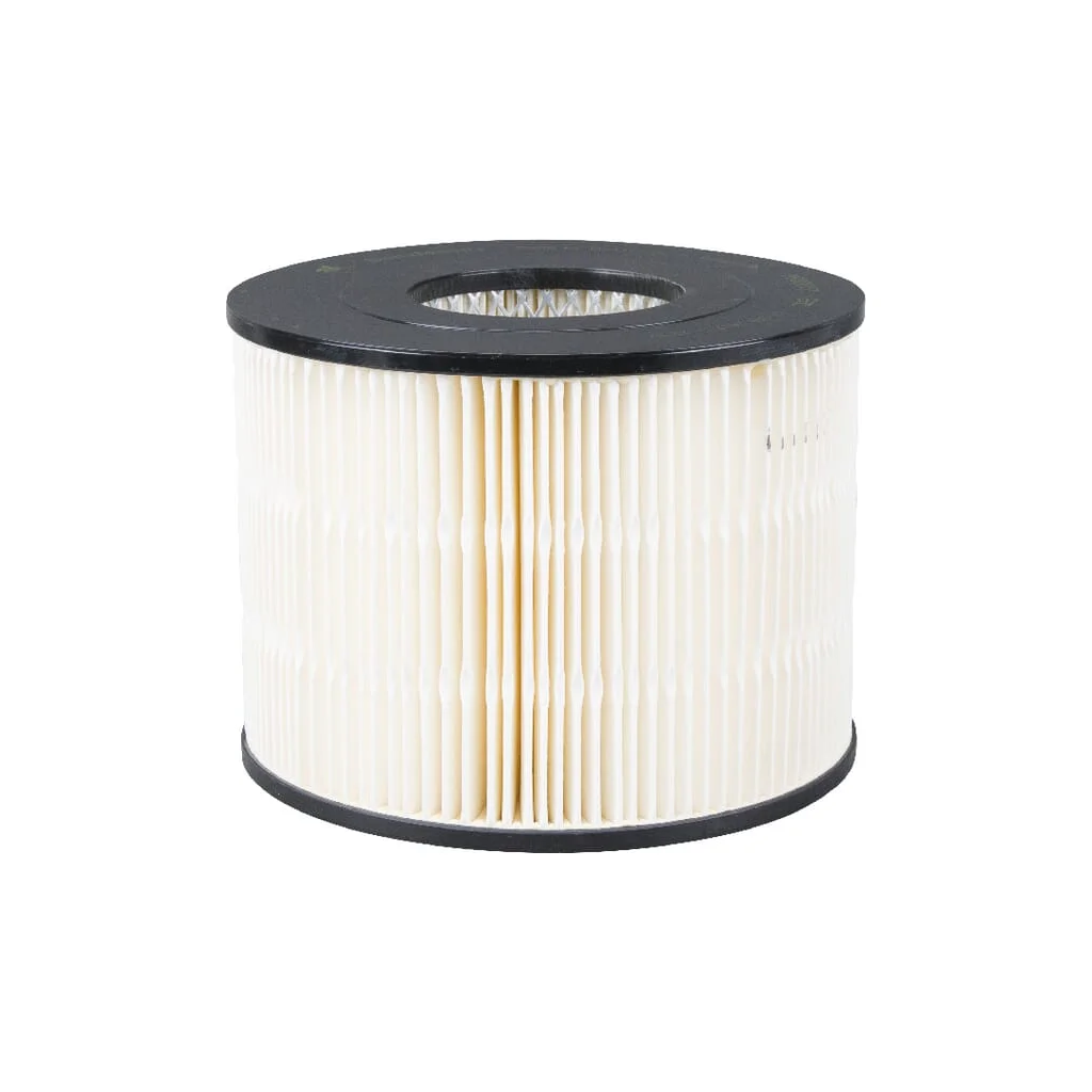Filtru de aer P500017