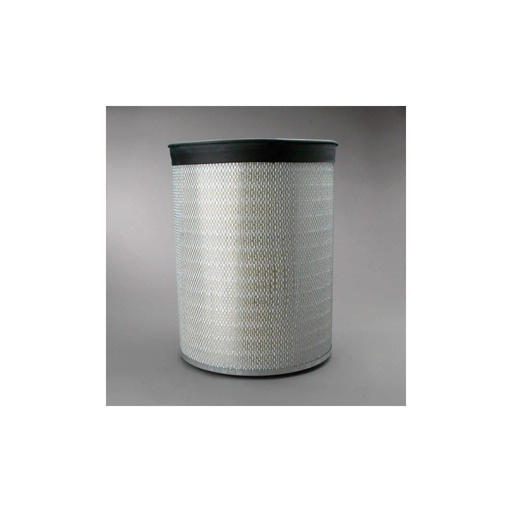 Filtru de aer principal P181038
