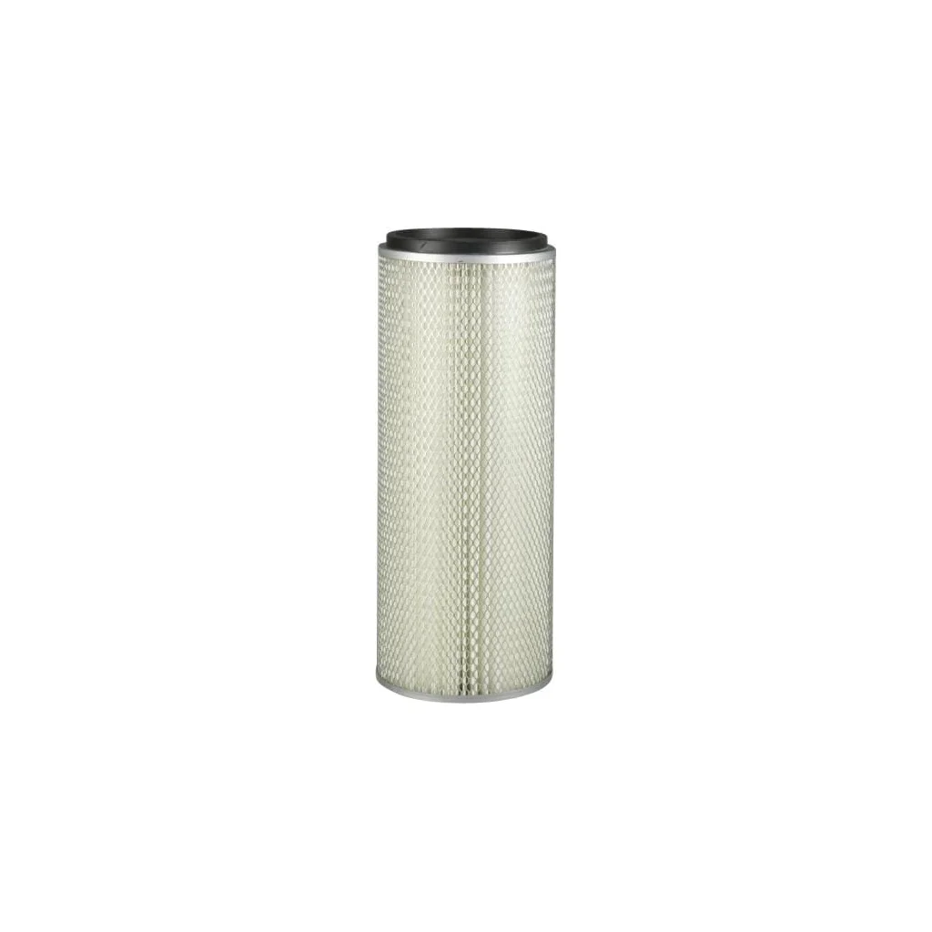 Filtru aer exterior P500202