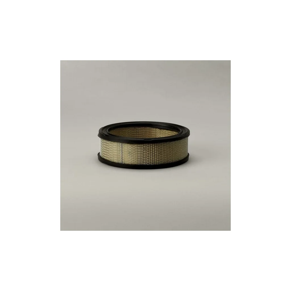 Filtru aer principal rotund P530628