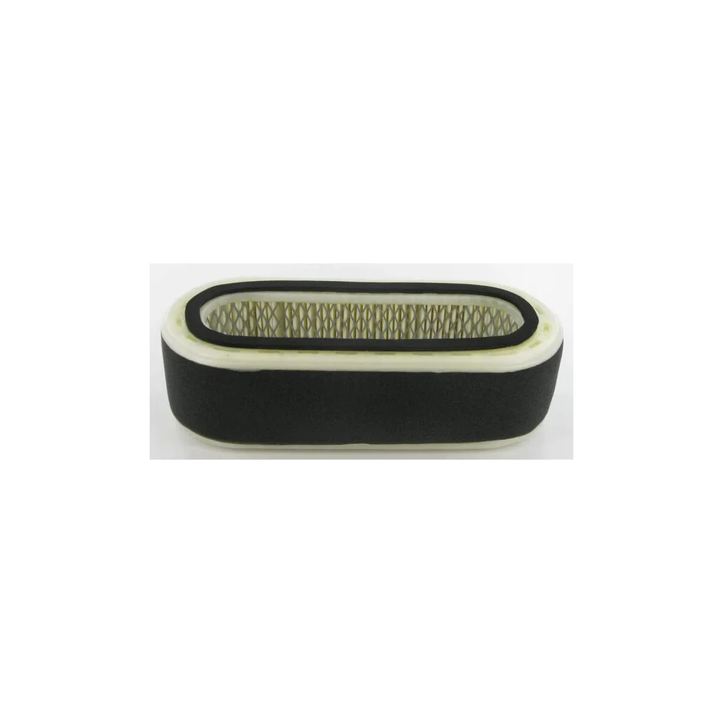 Filtru de aer FD590V 110292017