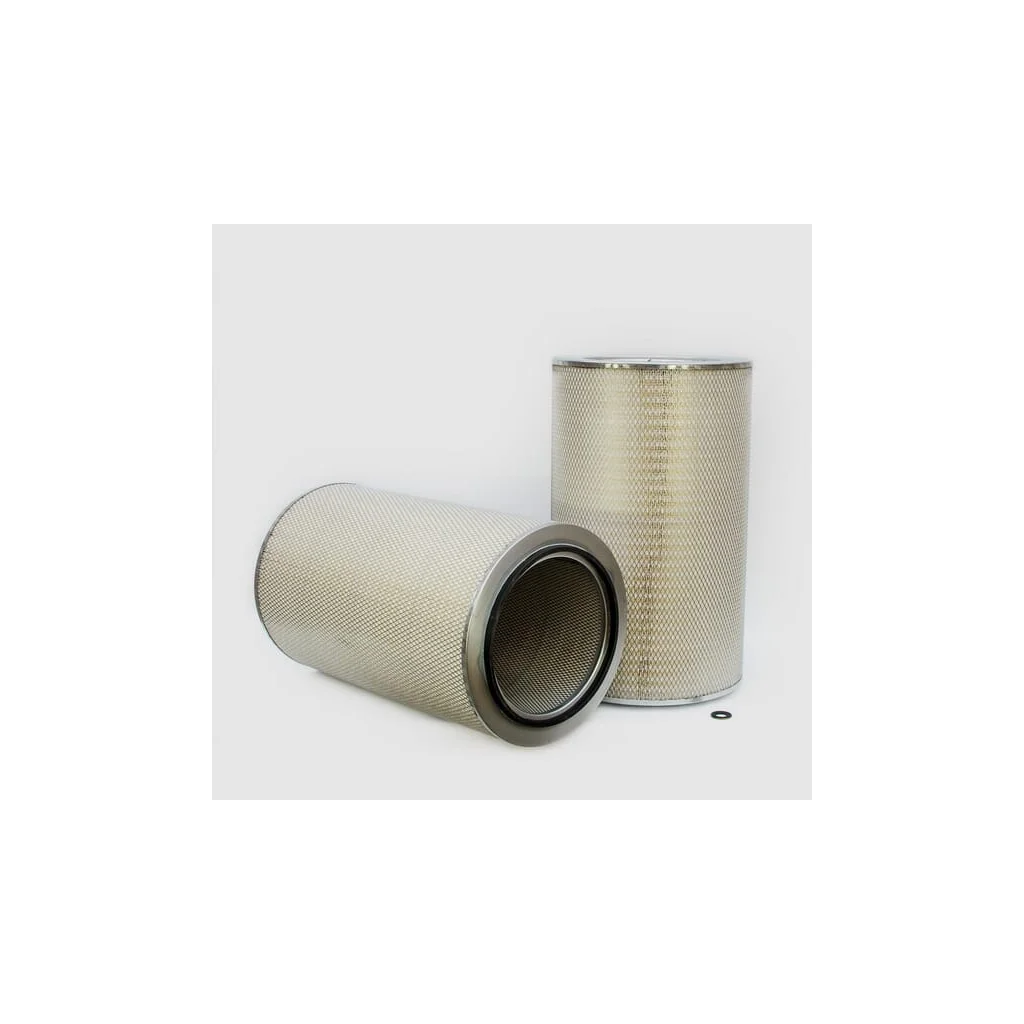 Filtru aer exterior P182042
