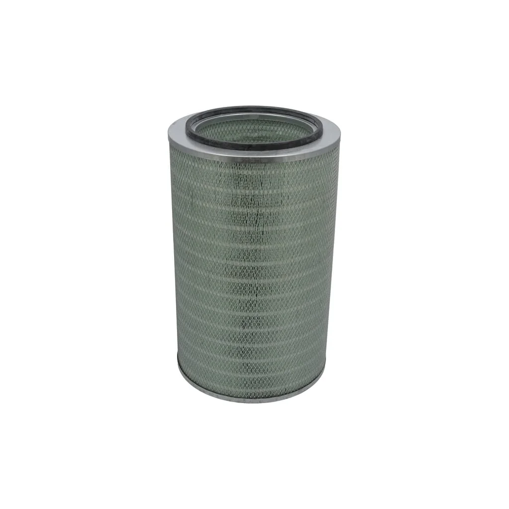 Filtru aer exterior P613439