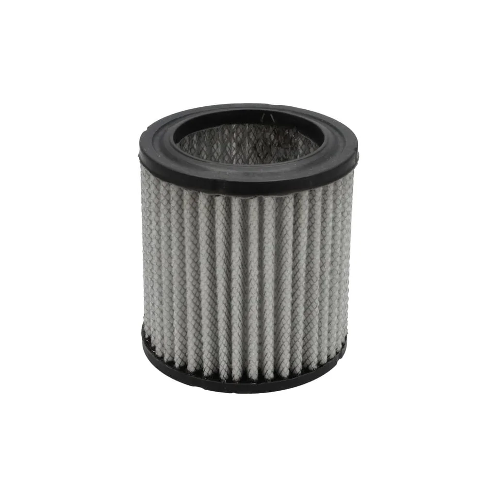 Filtru aer principal P606079