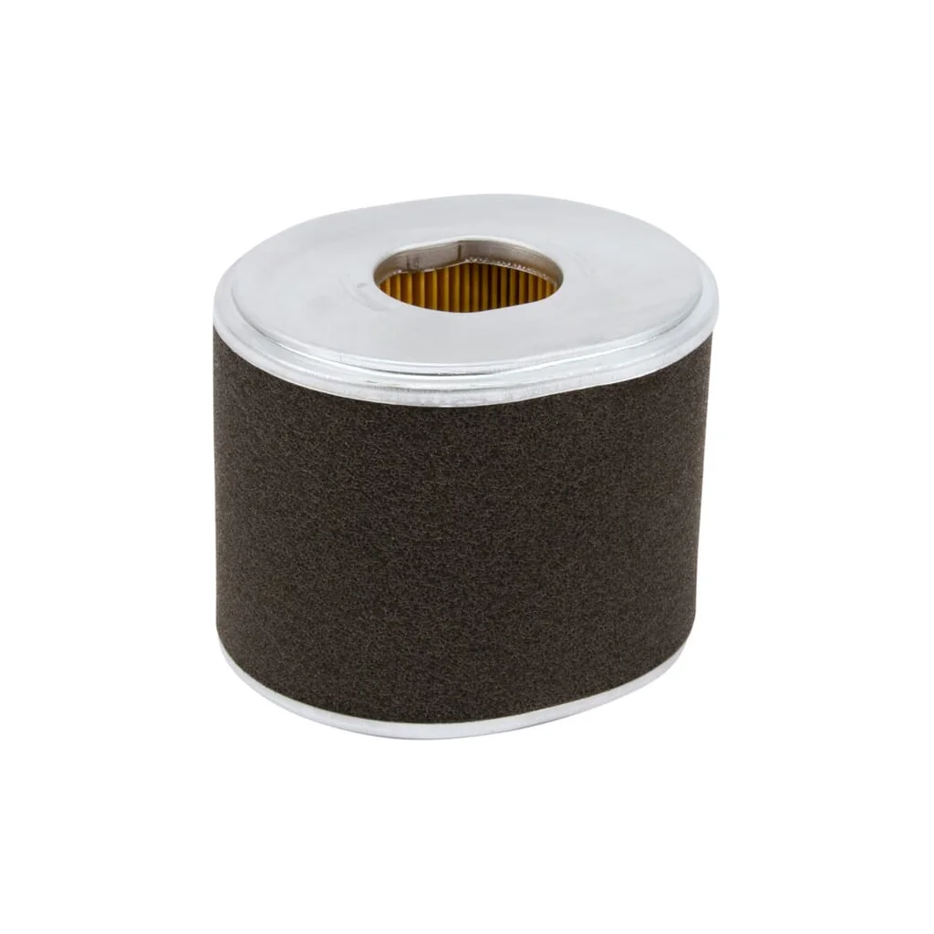 Filtru de aer P607254GJ