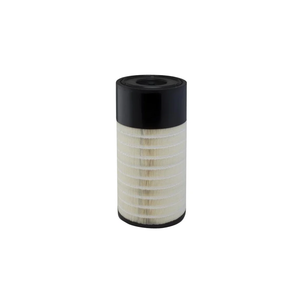 Filtru aer exterior P627763