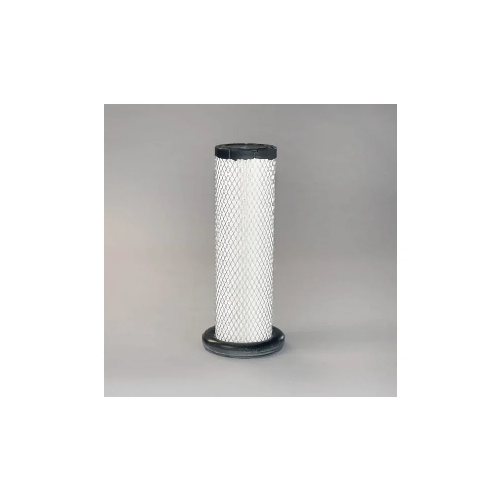 Filtru aer P629469