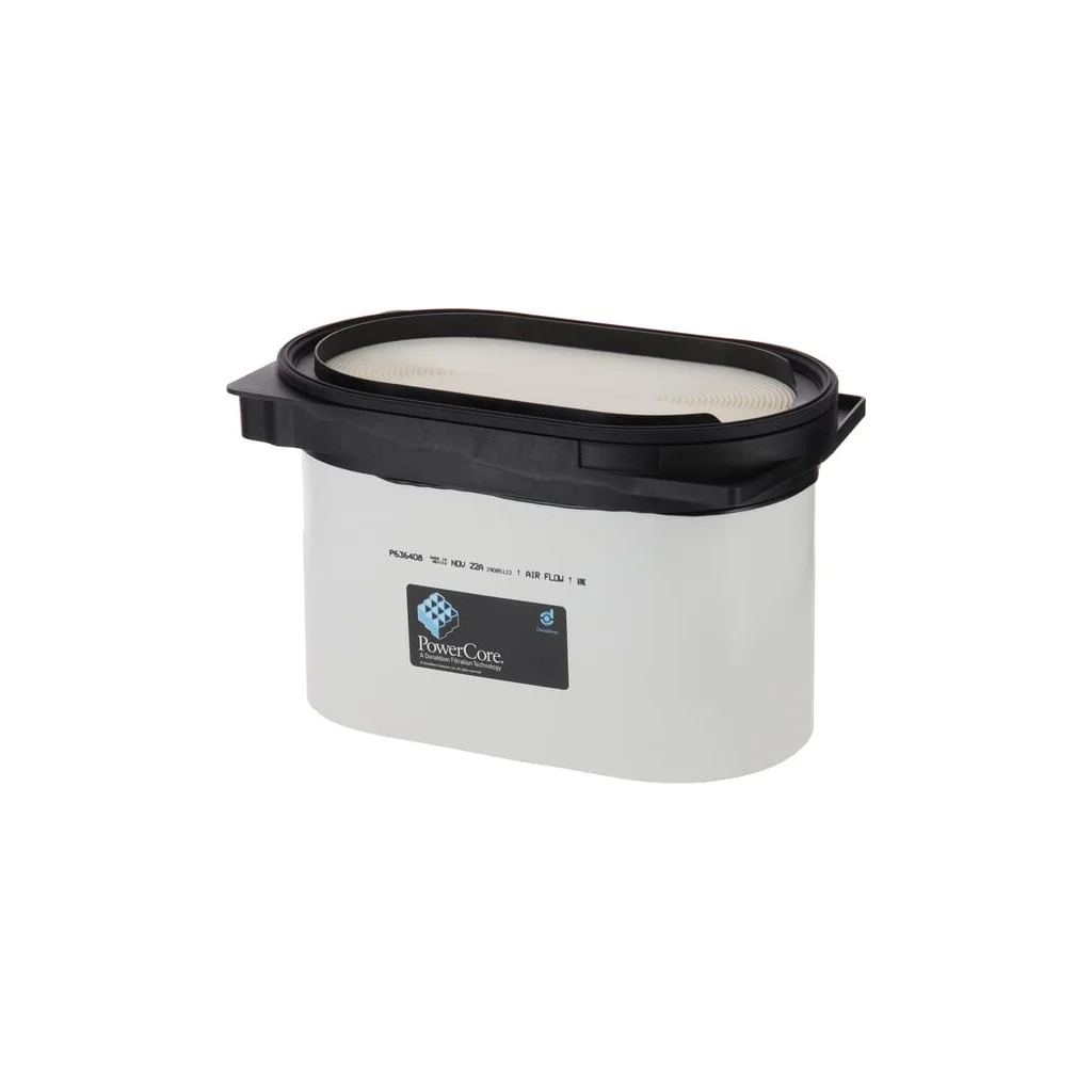 Filtru aer exterior P636408