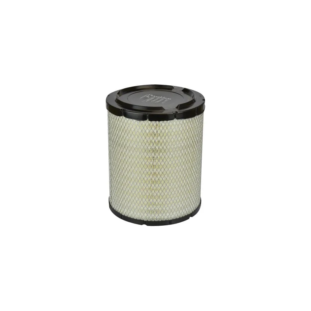 Filtru aer exterior P635335