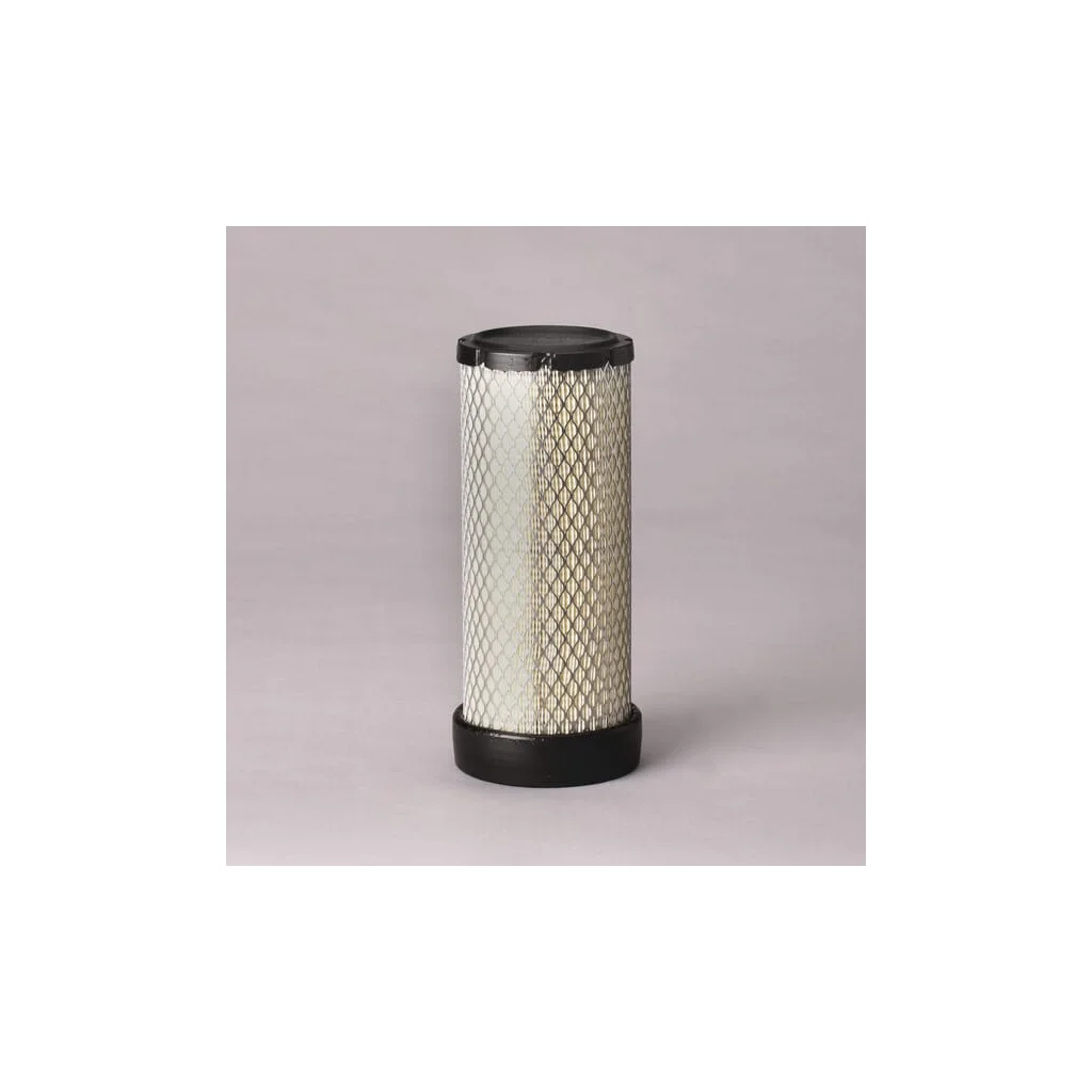 Filtru aer exterior P621642