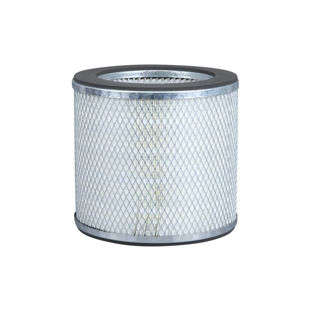 Filtru de aer P776302GJ