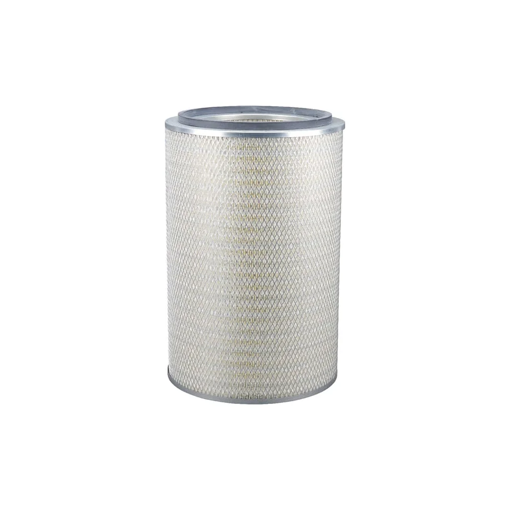 Filtru de aer P772521GJ