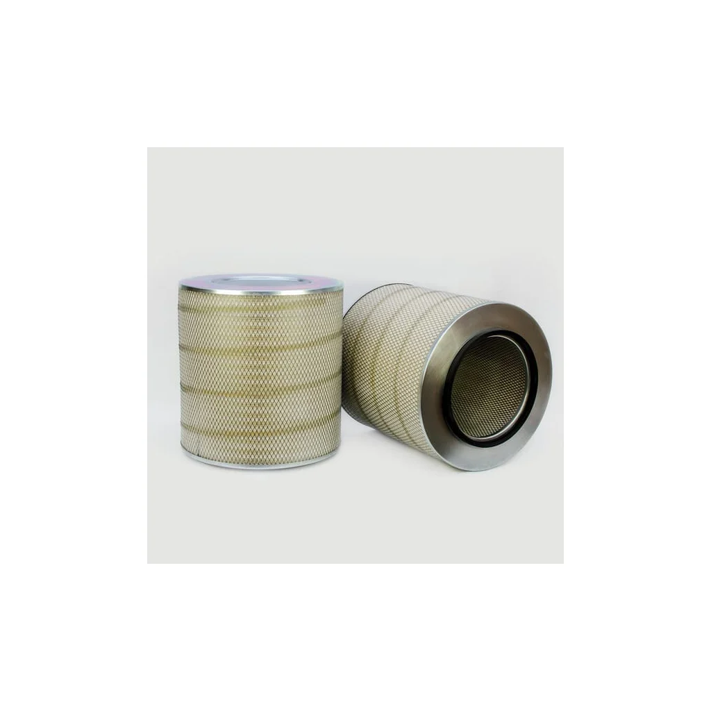 Filtru aer exterior P778605