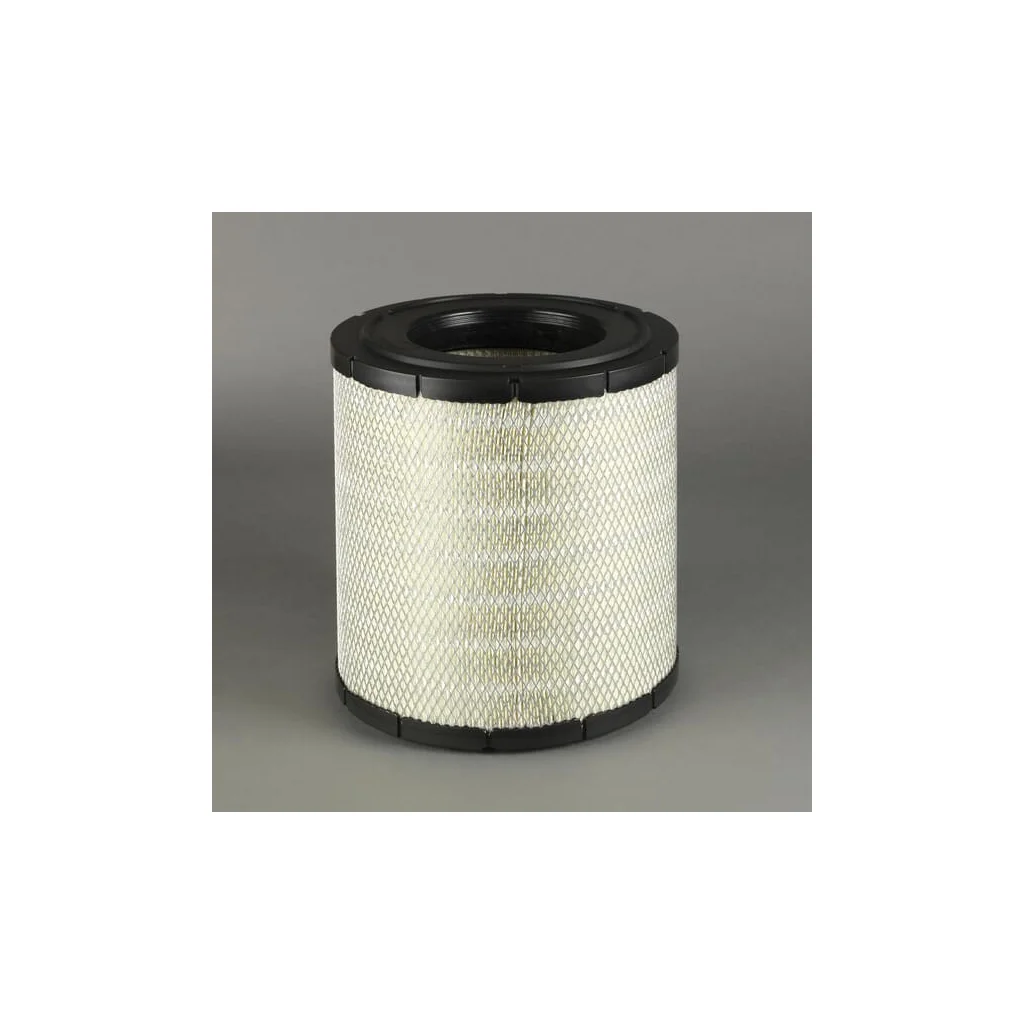 Filtru aer exterior P780731
