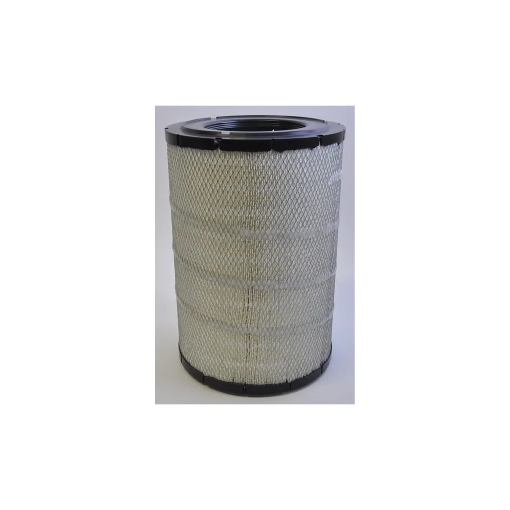 Carcasă filtru aer Donaldson P778335GJ