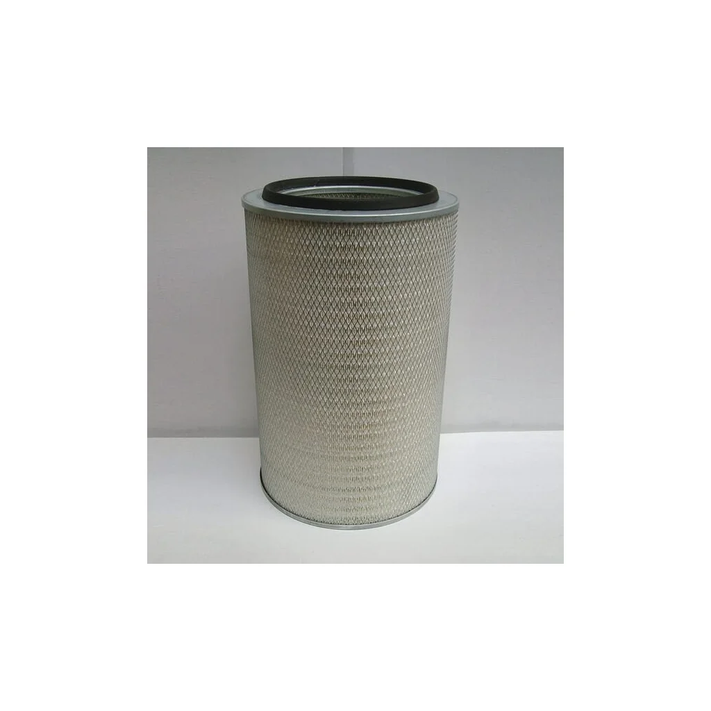 Filtru de aer P778081GJ