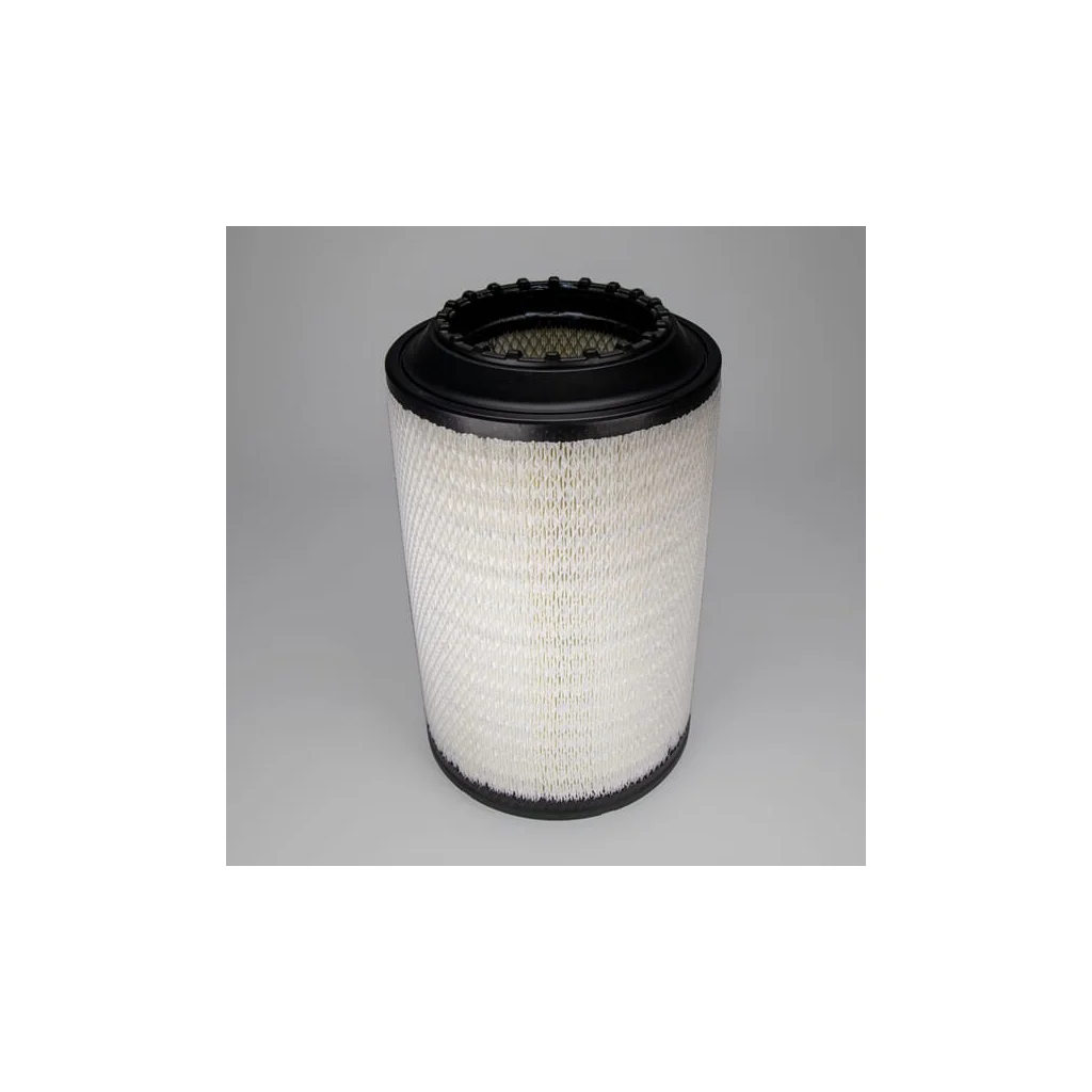 Filtru aer exterior P784198