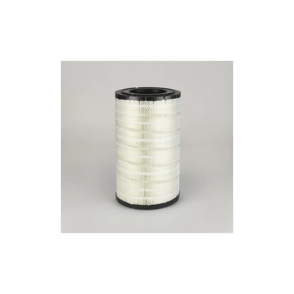 Filtru aer exterior P778336