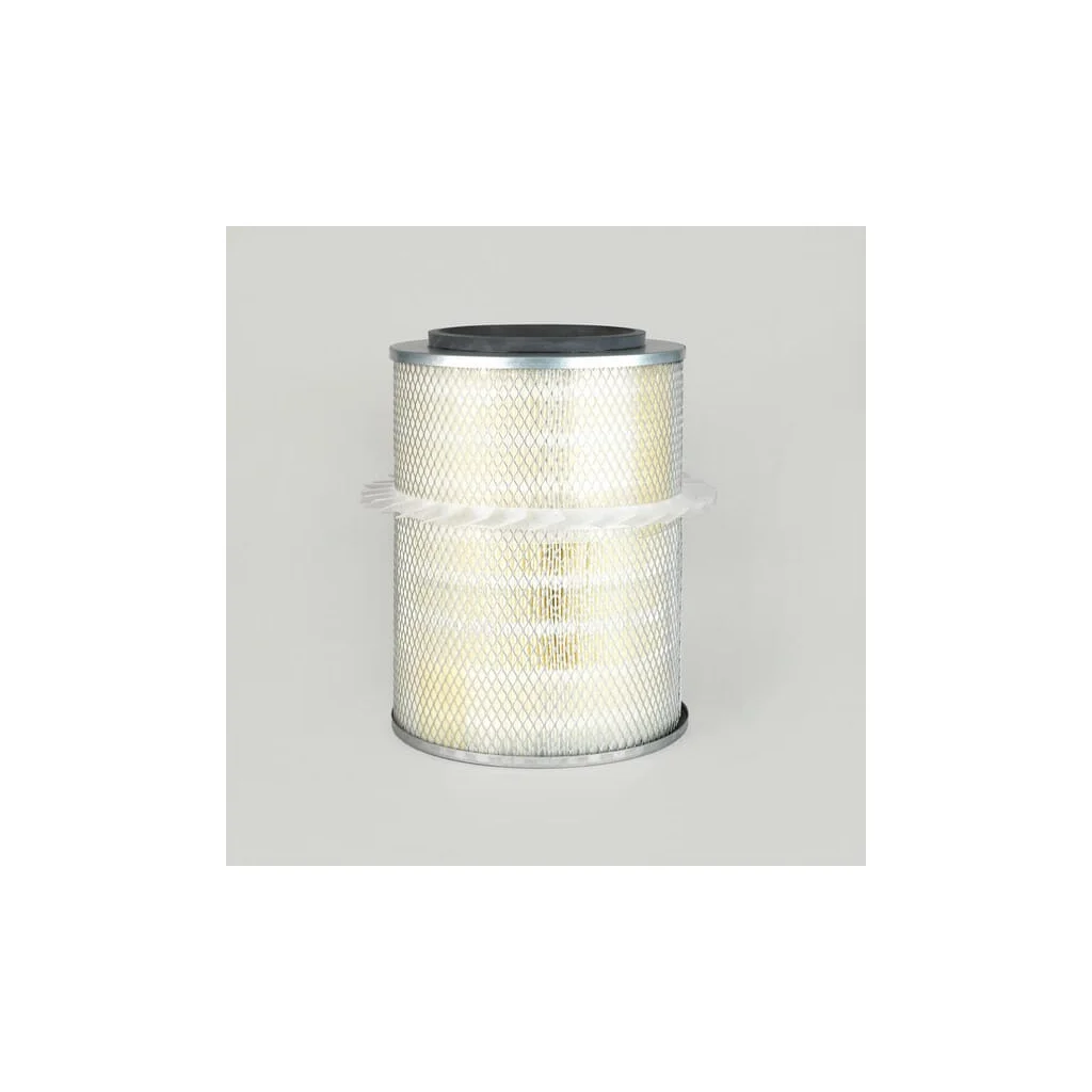 Filtru aer exterior P776497