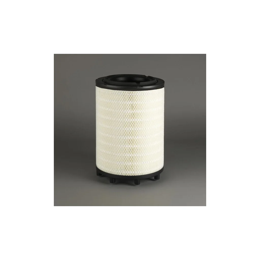 Filtru aer exterior P953211