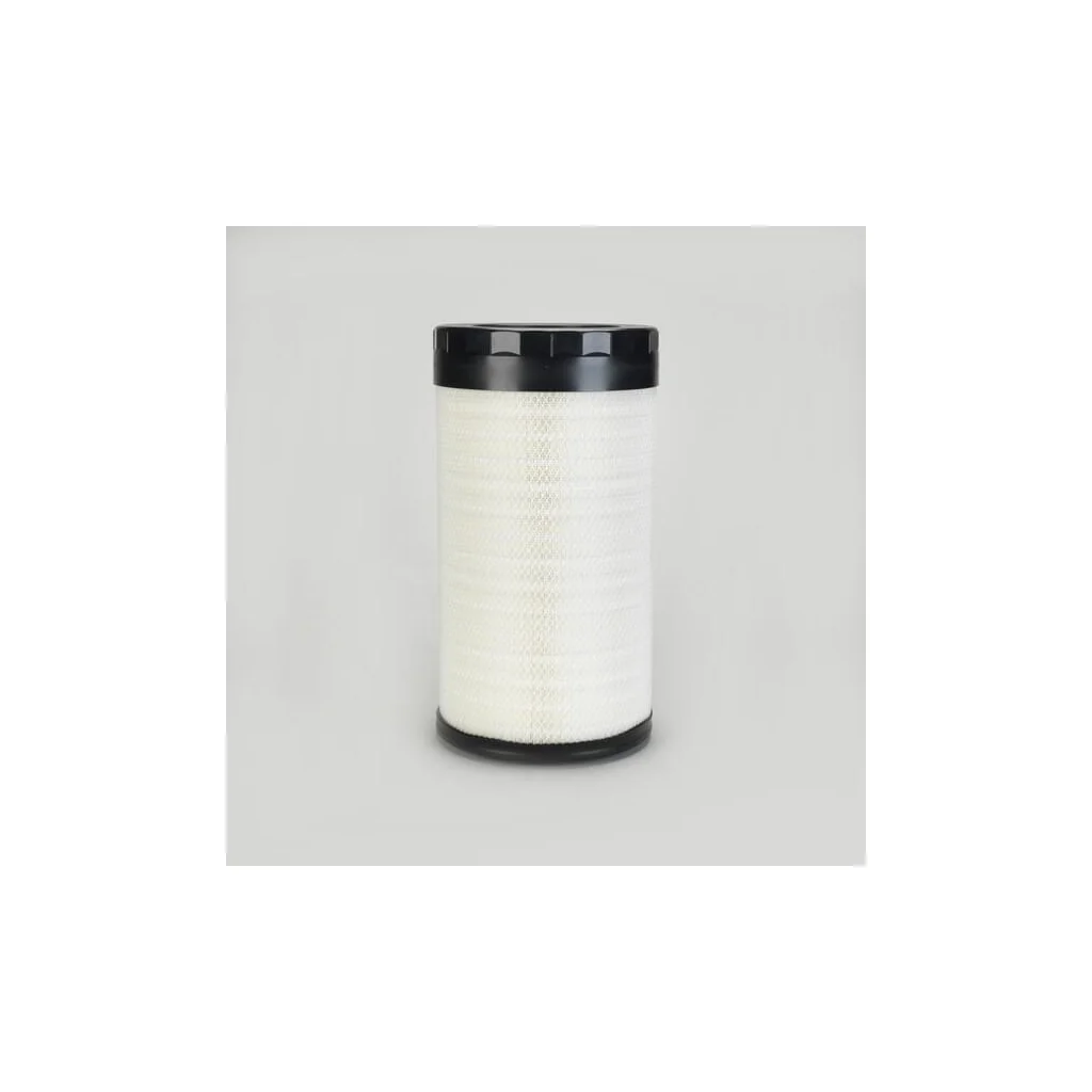 Filtru aer P956905