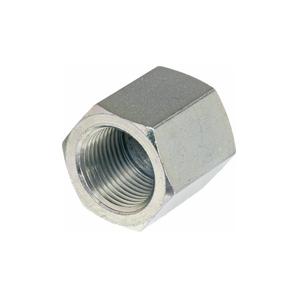 Capac 3/8" BSP PF06C