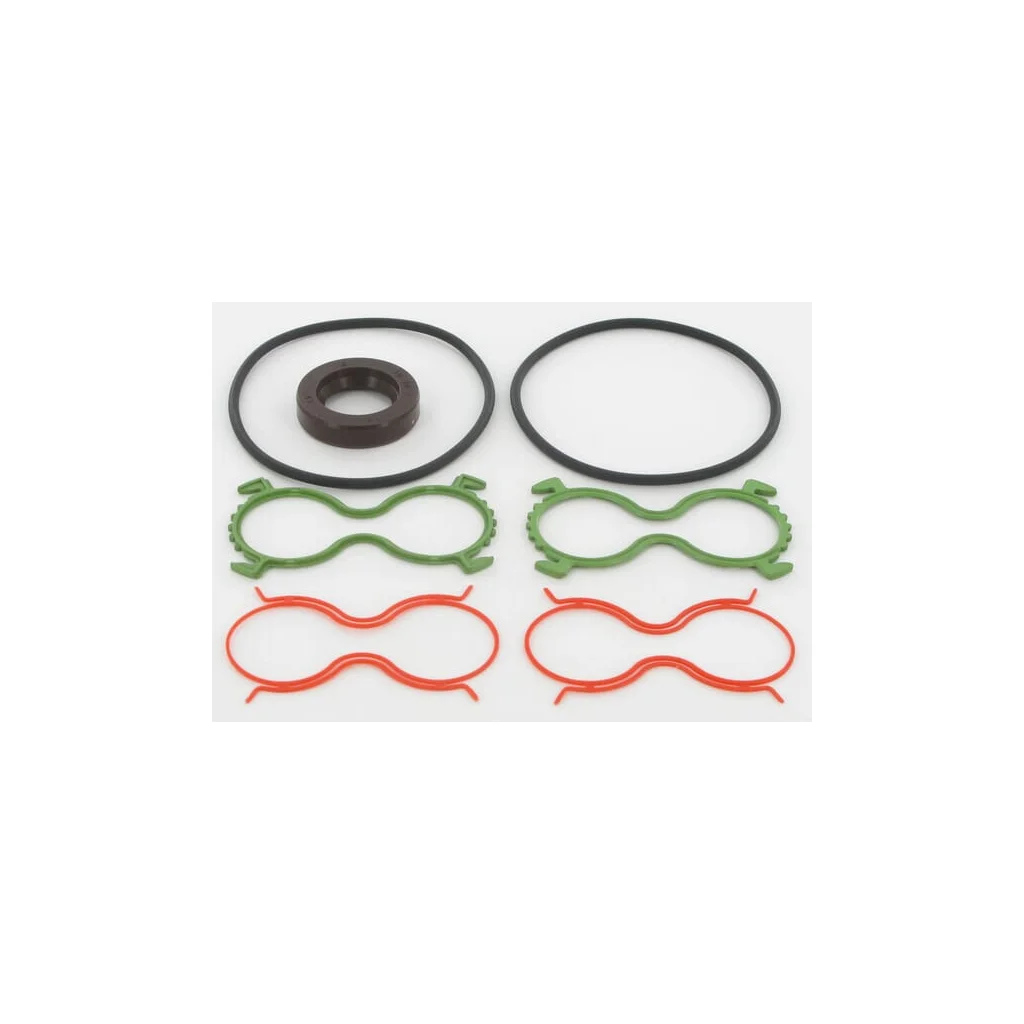 Set garnituri Polaris 20-31S1 Viton PLM92031S1VAFD
