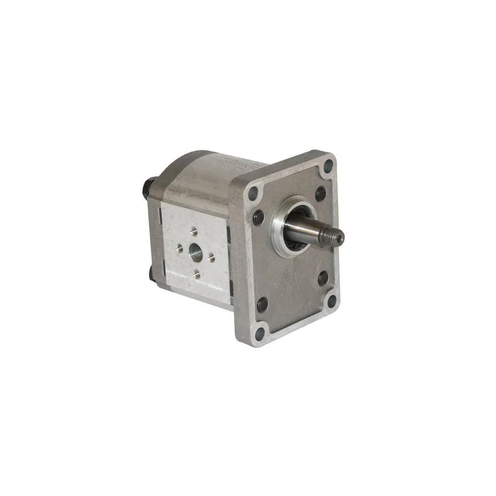 Pompă cu roți dințate Polaris 20 PLP204D082E2