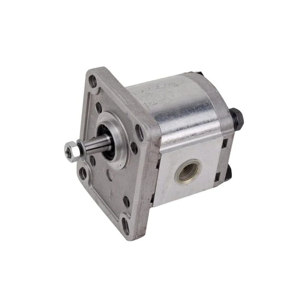 Pompă cu roți dințate Polaris 10 PLP104D081E1G