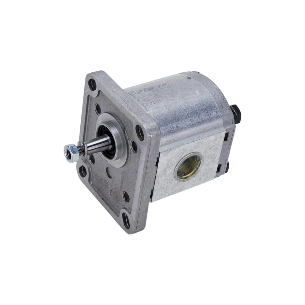 Pompă cu roți dințate Polaris 10 PLP106D081E1G