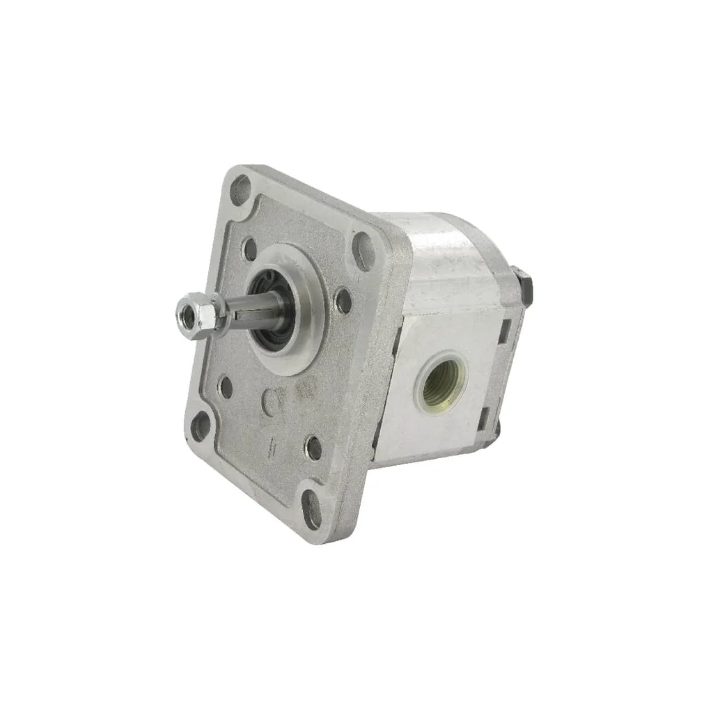 Pompă cu roți dințate Polaris 10 PLP102D081E1G
