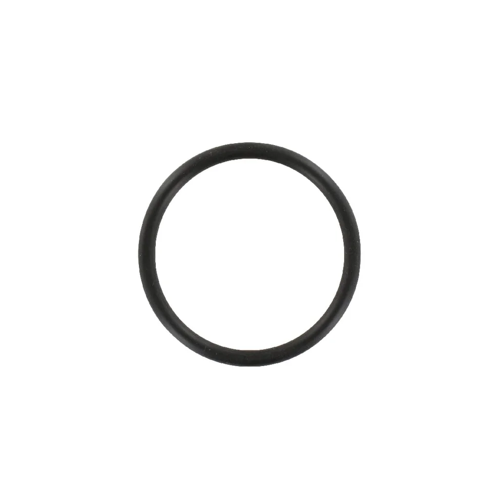 O-ring frână R265061