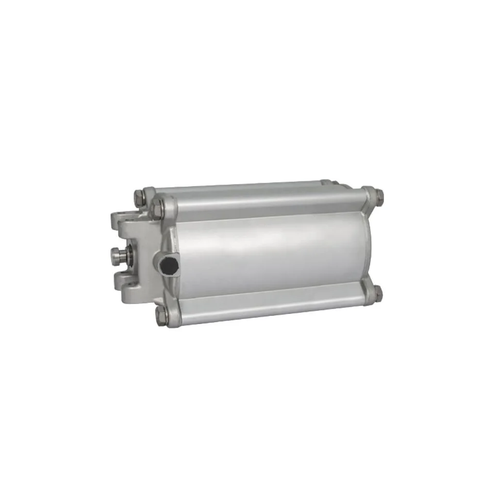 Cilindru pneumatic 6" cu acțiune dublă RIV164150