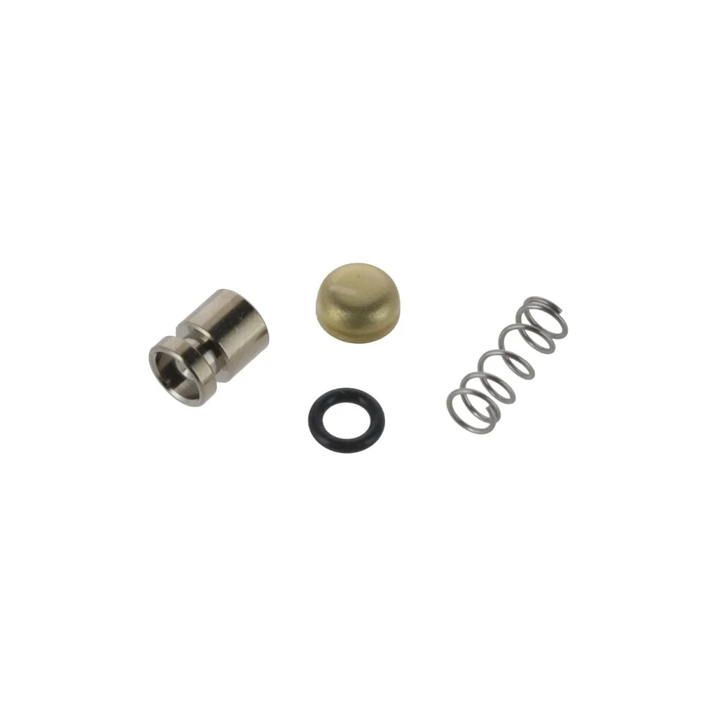 Kit piston pompă 11371209704