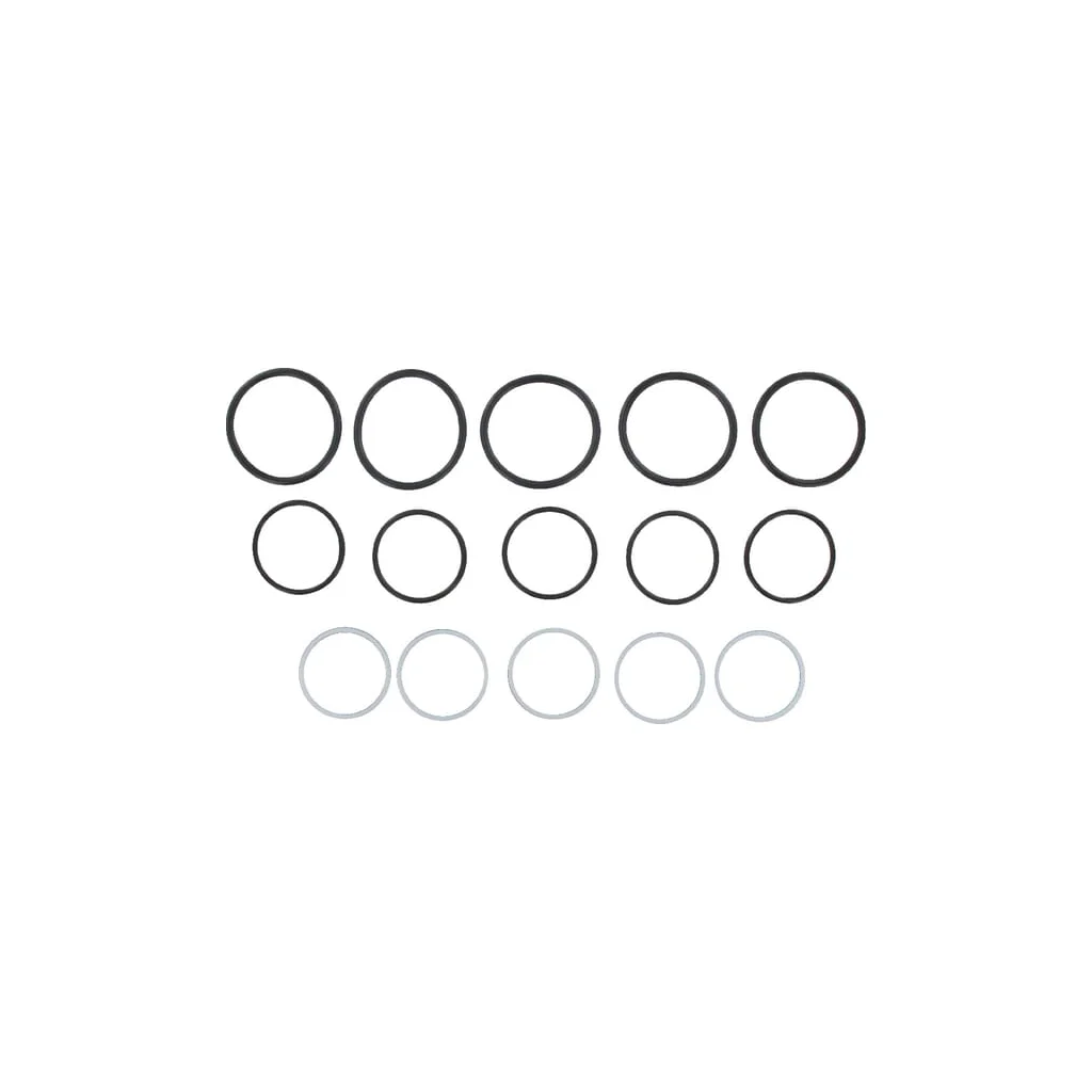 Set garnituri pentru SKS-F-25 (5x) SKS9F25SEALP005N